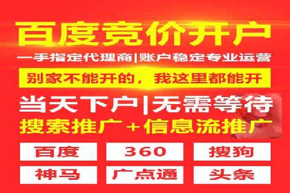 SEM竞价推广案例：电商行业成功案例解析